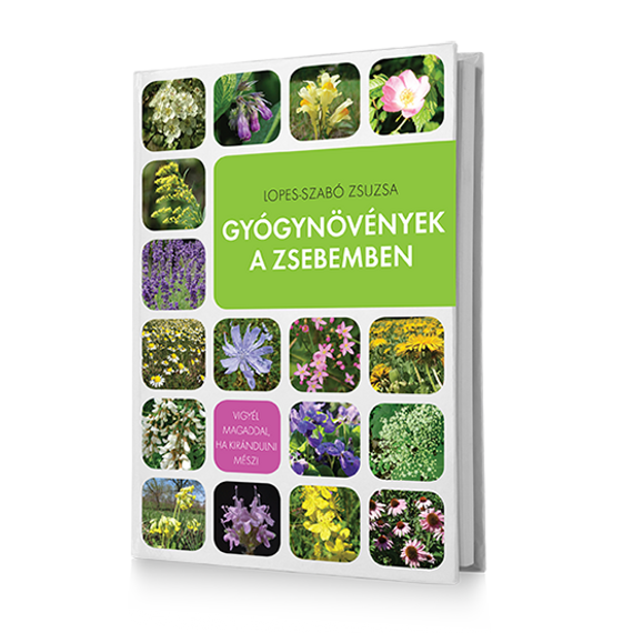Gyógynövények a zsebemben könyv